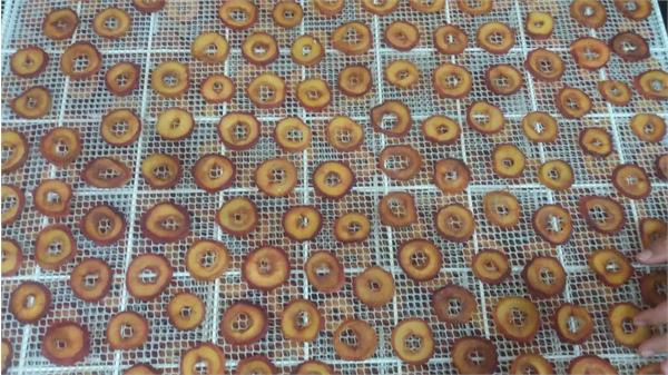 کارگاه میوه خشک کنی در استان آذربایجان غربی 12