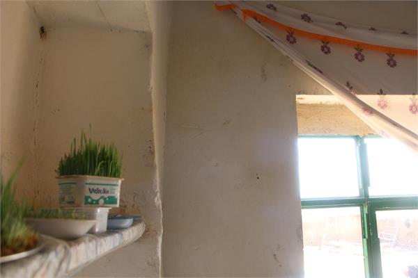 توزیع سبد کالای نوروز 96 7