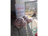 توزیع گوشت قربانی همزمان با زادروز بنیانگذار 12