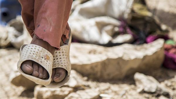 سفر به دیار فراموش شدگان 19