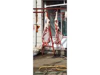 توزیع گوشت قربانی به مناسبت نیمه شعبان