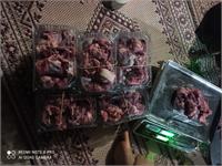 گوسفند هرمزگان 1