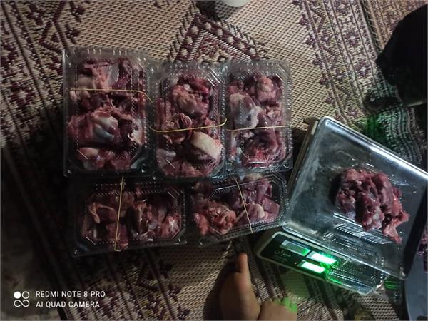 گوسفند هرمزگان 1