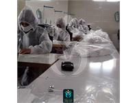 ماسک نرگس 24