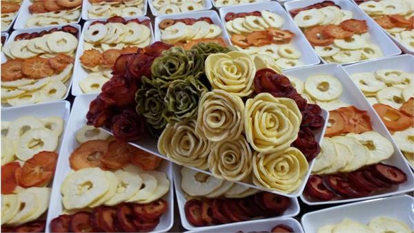 میوه خشک کنی 8