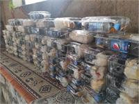 تولد کرمانشاه 2