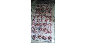 گوسفند هرمزگان 4