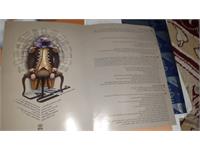 نیما کارگردان بوتراب 11