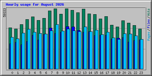 Hourly usage for August 2026
